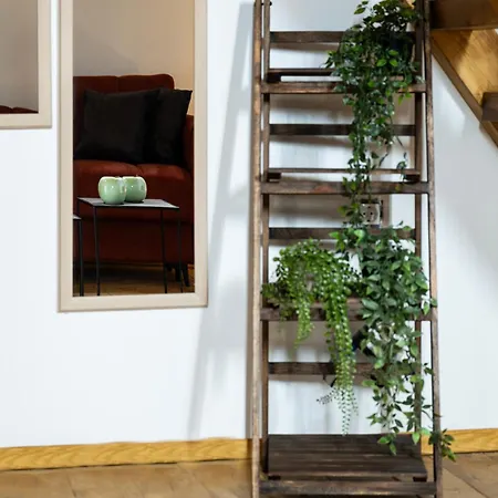 Old Town Nest 3* עיר רודוס